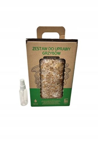 Soplówka Jeżowata MUSHROOMS GROW KIT grzybnia na Arena.pl