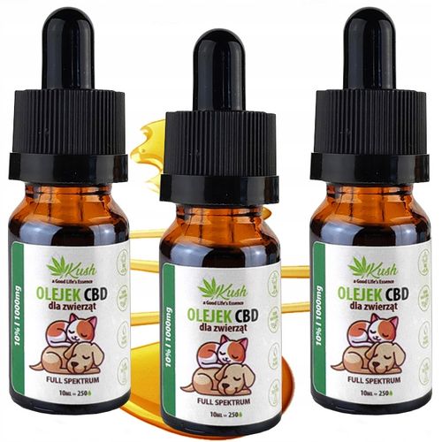 10% olejek KONOPNY CBD | dla Psa Kota | RAW FULL SPECTRUM | 3 x 10ml na Arena.pl