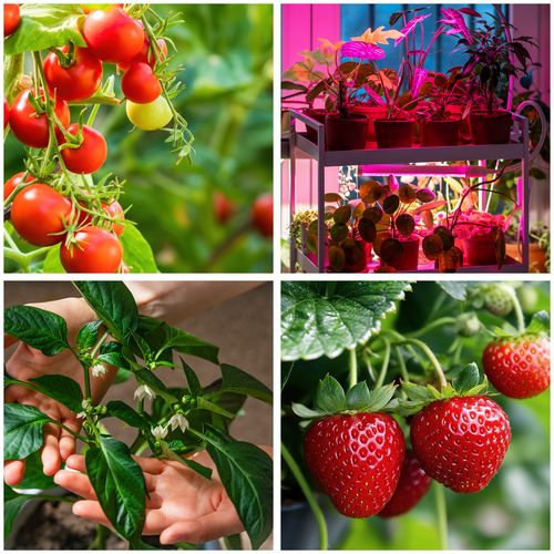 Lampa LED Do Wzrostu Uprawy Roślin na Klips POTRÓJNA TIMER + ZASILACZ na Arena.pl