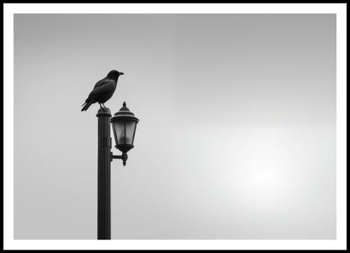 Plakat 100x70cm Samotny Postój Kruka na Arena.pl