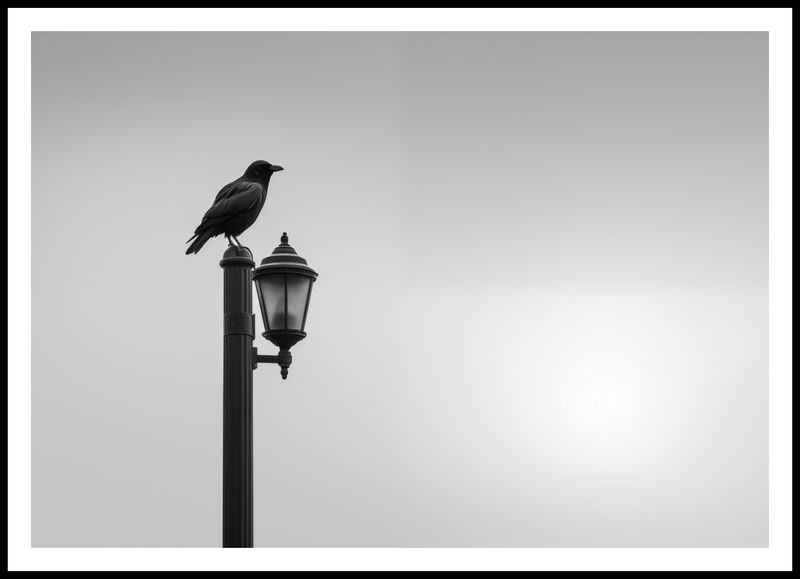 Plakat 100x70cm Samotny Postój Kruka zdjęcie 3