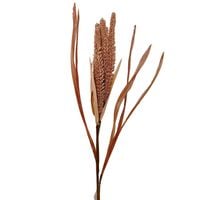 Dodatek trawa morska beżowa