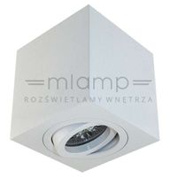 Spot LAMPA sufitowa Lago Bianco Orlicki Design regulowana OPRAWA metalowa kostka cube biała