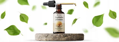 SOPLÓWKA JEŻOWATA KROPLE EKSTRAKT ADAPTOGENY Suplement lion's mane 50 ml na Arena.pl