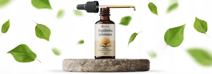 SOPLÓWKA JEŻOWATA KROPLE EKSTRAKT ADAPTOGENY Suplement lion's mane 50 ml zdjęcie 7