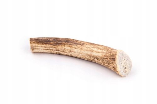 4DOGS Gryzak z poroża - poroże jelenia L hard na Arena.pl