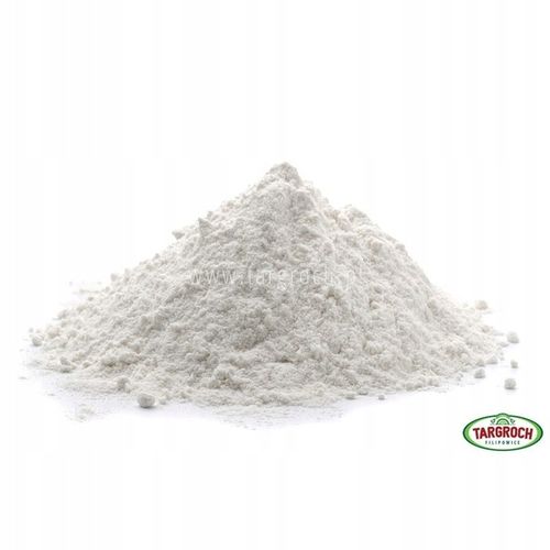 Targroch Kwas L-Askorbinowy Witamina C proszek 1 kg na Arena.pl