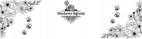 Olej z Wiesiołka 100% Tłoczony na Zimno PRODUCENT 100ml Miodowe Ogrody na Arena.pl