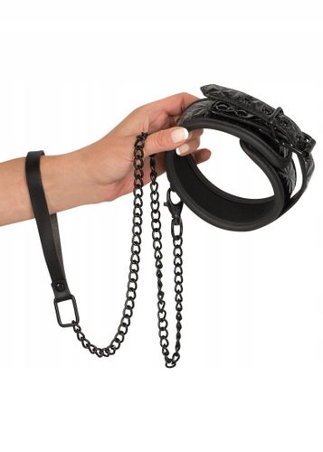 Obroża ze smyczą na Arena.pl