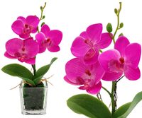 SZTUCZNY STORCZYK W DONICZCE RÓŻOWY SILIKONOWY ROŚLINA ORCHIDEA OZDOBNA