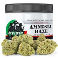 SUSZ KONOPNY CBD | AMNESIA HAZE | STRONG | MOCNE ZIOŁO | 10g