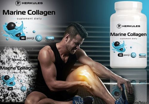 HERKULES Marine Collagen 120caps KOLAGEN RYBI KWAS HIALURONOWY WITAMINA C na Arena.pl