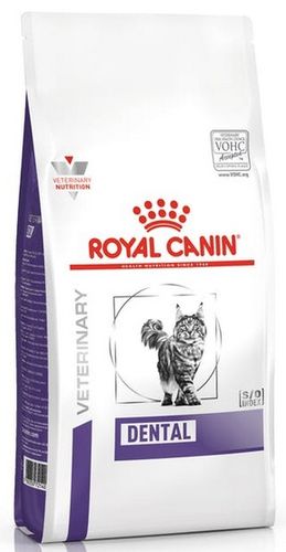 Karma dla dorosłych kotów z problemami stomatologicznymi Royal Canin 1,5kg na Arena.pl