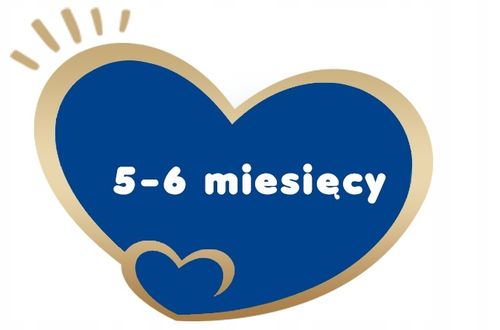 BEBIKO PRO+ 1 MLEKO POCZĄTKOWE 0-6m 700g na Arena.pl