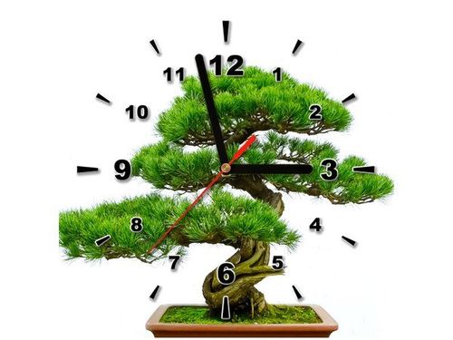 30X30CM ZEGAR BONSAI OBRAZ DREWNO na Arena.pl