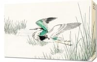 Obraz 60x40cm Grey Heron, Kashu Japoński Vintage do Salonu
