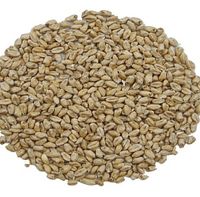 Słód pszeniczny jasny 3-5 EBC Weyermann (R) - 5 kg