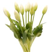 TULIPANY SILIKONOWE jak ŻYWE 34 cm TULIPAN BIALY ZIELONY