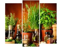 90 80CM OBRAZ T3 ELEM PRZYPRAWY ZIOŁOWE DRUK ŚCIENNY