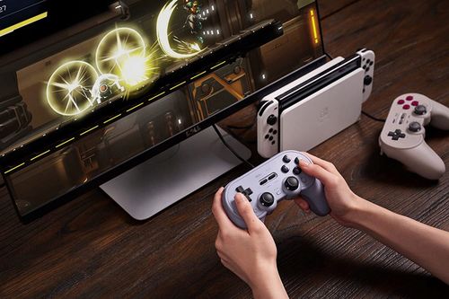 Kontroler 8BITDO Pro 2 Wired Gamepad Szary na Arena.pl