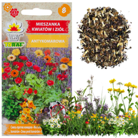 Mieszanka Antykomarowa 1G Nasiona Stop Komarom Na Komary Mix Roślin