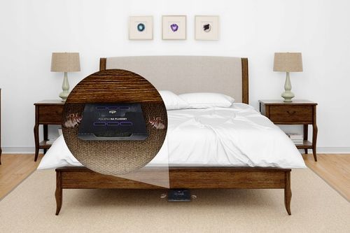 SILNA PUŁAPKA LEPOWA NA PLUSKWY PRZECIWKO PLUSKWOM WABIK 5 SZTUK NO na Arena.pl