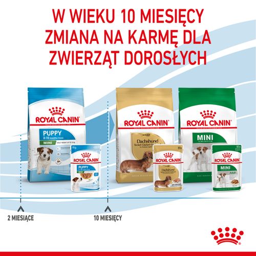 royal canin mini puppy 12x85g na Arena.pl