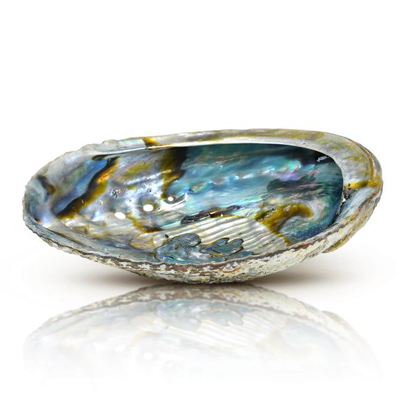 Podstawka pod kadzidło – Muszla Abalone zdjęcie 1