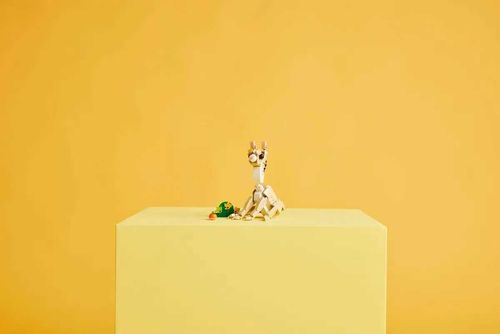 31162 - lego creator - uroczy króliczek na Arena.pl