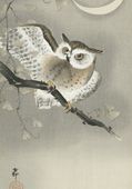 Plakat 70x100cm Long-Eared Owl 2, Koson Japoński Vintage do Salonu