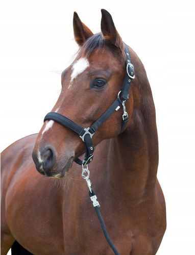 Kantar dla konia Dexter czarny roz Pony Covalliero na Arena.pl
