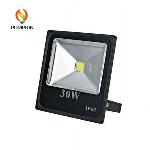 Oświetlacz Halogen Led Cob 30W Zimny Biały - W-Wa na Arena.pl