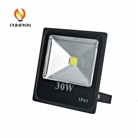 Oświetlacz Halogen Led Cob 30W Zimny Biały - W-Wa zdjęcie 6