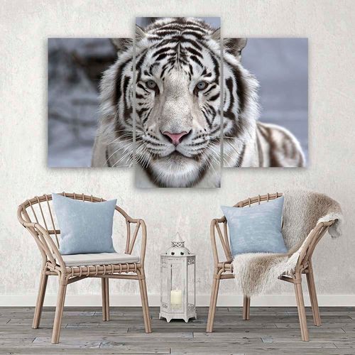 Obraz trzyczęściowy, Orchidea 60x40 na Arena.pl