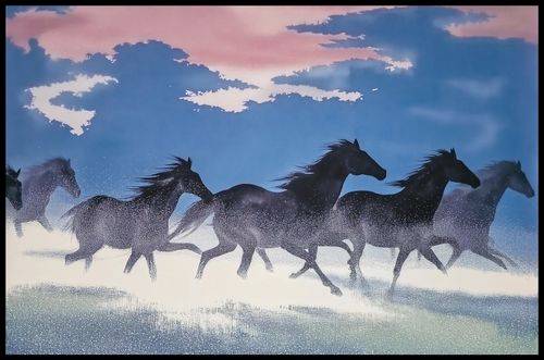 Plakat 91,5x60cm Wolność i Swoboda na Arena.pl