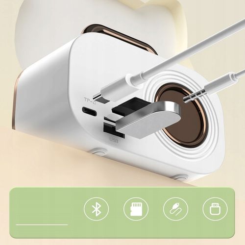 Bezprzewodowy Zestaw do Karaoke dla Dzieci Głośnik Bluetooth + 2 Mikrofony na Arena.pl