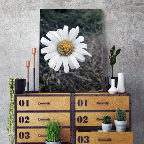 Deco Panel, Rumianek 80x120 na Arena.pl