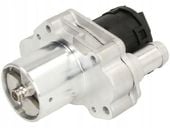 Delphi EG10486-12B1 Zawór AGR