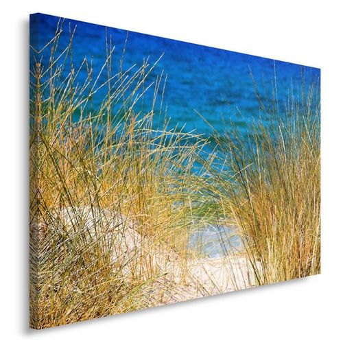 Obraz na płótnie - Canvas, Widok z wydmy 50x40 na Arena.pl