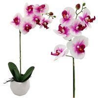 Storczyk sztuczny biały różowy wysoki kwiat w doniczce 50 - 60 cm orchidea