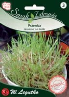 Nasiona na kiełki, pszenica, 50g