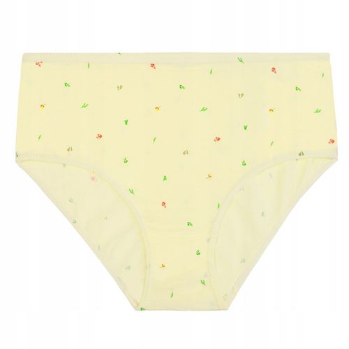 MAJTKI DAMSKIE BAWEŁNIANE MORAJ PLUS SIZE KLASYCZNE 4-PAK. ROZM. 4XL na Arena.pl