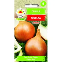 Cebula WOLSKA 5g