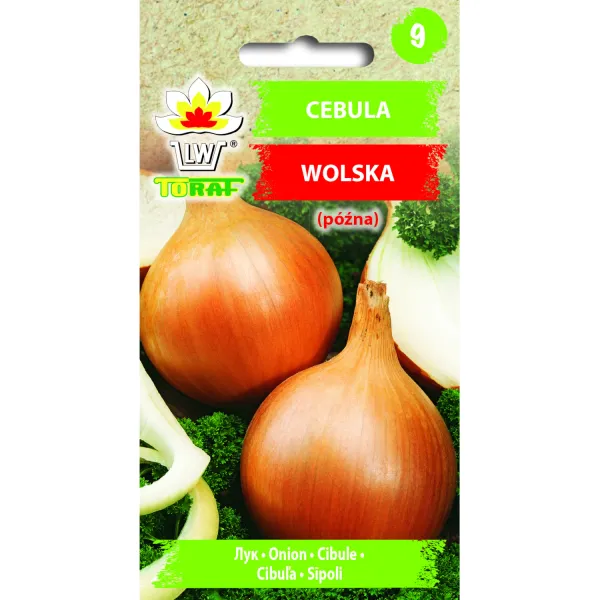 Cebula WOLSKA 5g zdjęcie 1