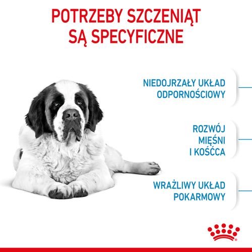 royal canin giant junior 15kg na Arena.pl