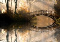 Fototapeta 3D widok LAS WE MGLE MOST 200x130 FL