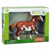 OGIER MUSTANG CHESNUT W OPAKOWANIU