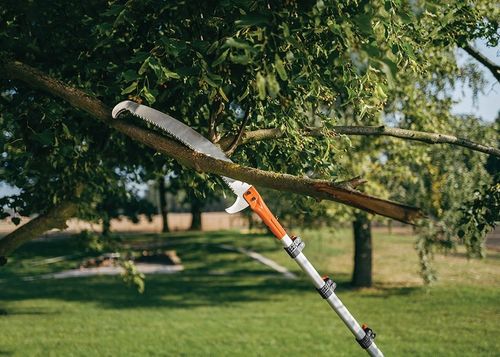 PIŁA DO CIĘCIA GAŁĘZI DREWNA NA WYSIĘGNIKU Z HAKIEM TELESKOPOWA 3M RĘKAWICE na Arena.pl