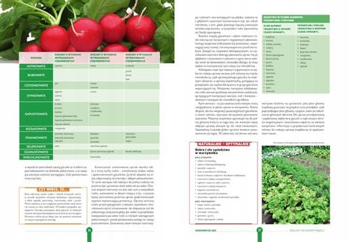 ROK W OGRODZIE Joanna Mikołajczyk OGRÓD I UPRAWA ROŚLIN ATLAS TWARDA na Arena.pl