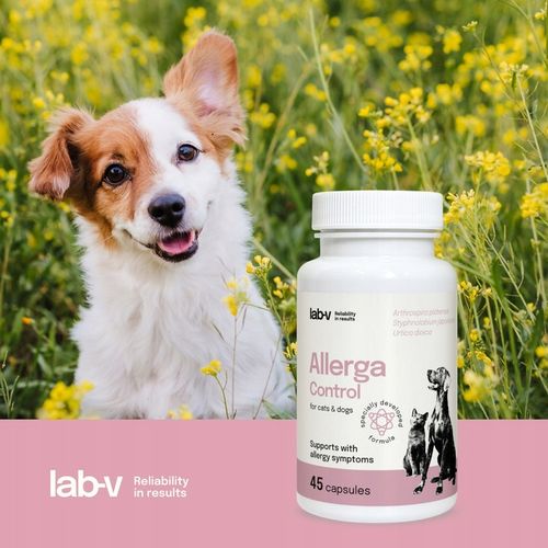 Allerga Control Wsparcie przy objawach alergii dla psów i kotów 45 kapsułek na Arena.pl